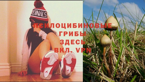 твердый Баксан