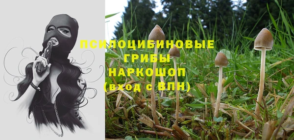 прущие крисы Балабаново