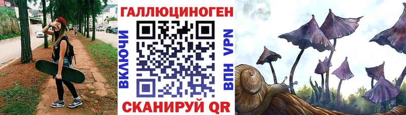 KRAKEN как войти  Черняховск  Галлюциногенные грибы GOLDEN TEACHER 